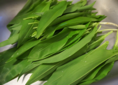 Rezept: Bärlauch-Pesto